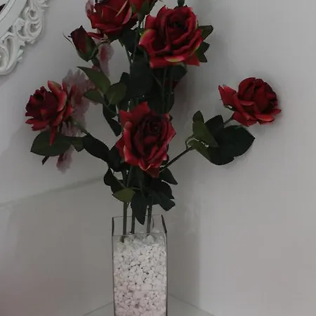 Romantico En Centro.